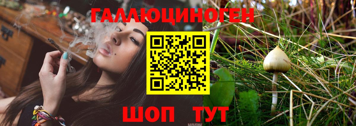 Галлюциногенные грибы мицелий Великий Новгород